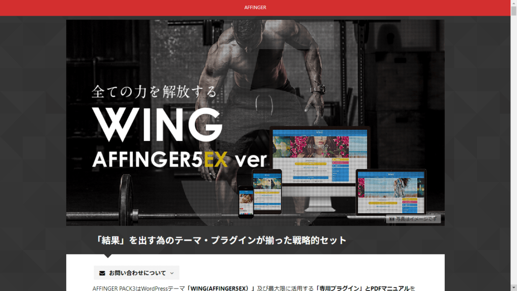WING AFFINGER5 EX