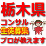 栃木県でアフィリエイトのプロから学ぶ：宇都宮市コンサル生限定募集